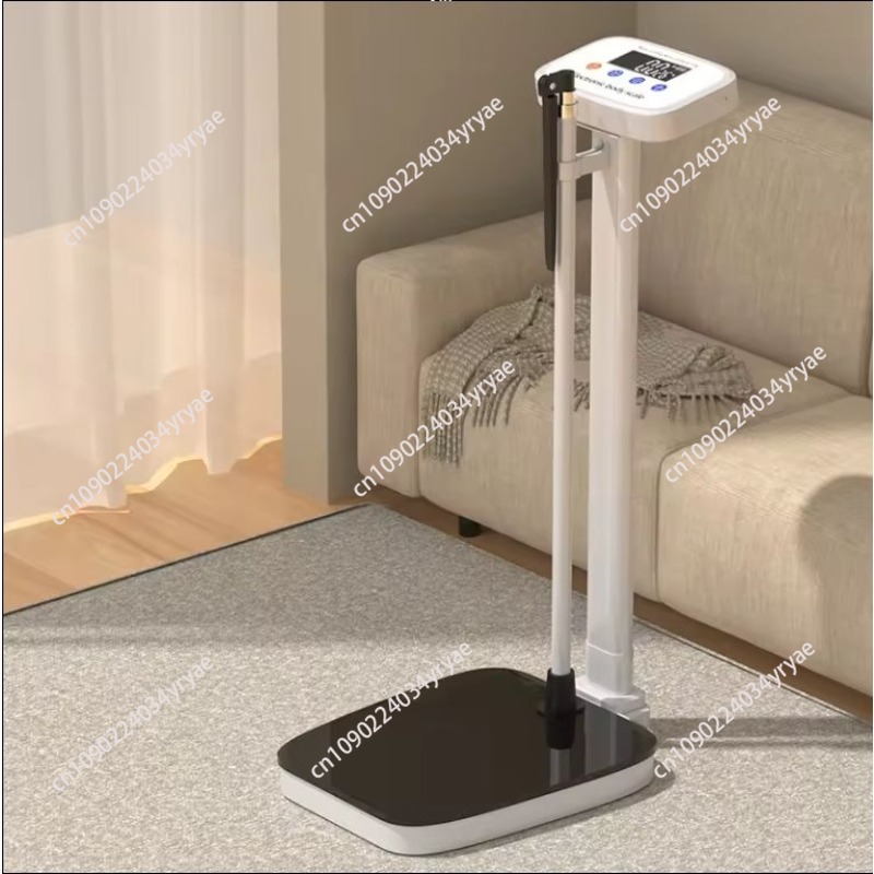 Smart body scale connection AP - Digital Body Weight Scale ulasan dan harga