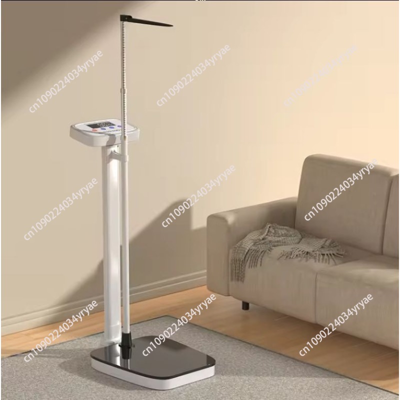 Smart body scale connection AP - Digital Body Weight Scale ulasan dan harga