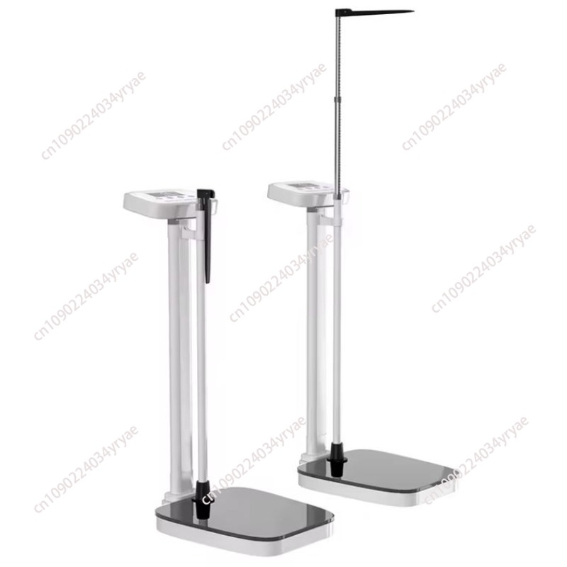 Smart body scale connection AP - Digital Body Weight Scale ulasan dan harga