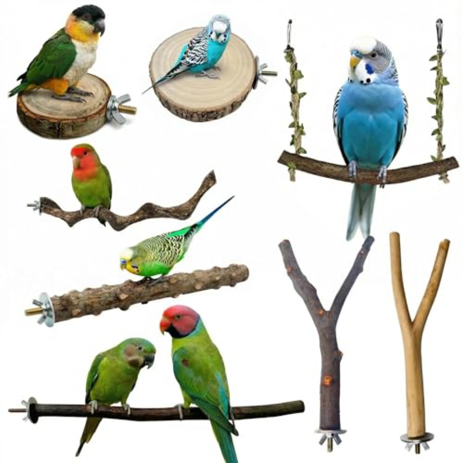 8PCS natural wood bird perches - Health & Wellness Farmacia Inc ulasan dan harga